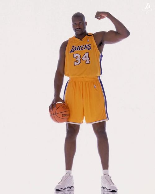 詹姆斯：艾顿承担了约80%的挡拆掩护，是进攻的重要力量（詹姆斯：艾顿承担近八成挡拆任务，系进攻端关键支柱）