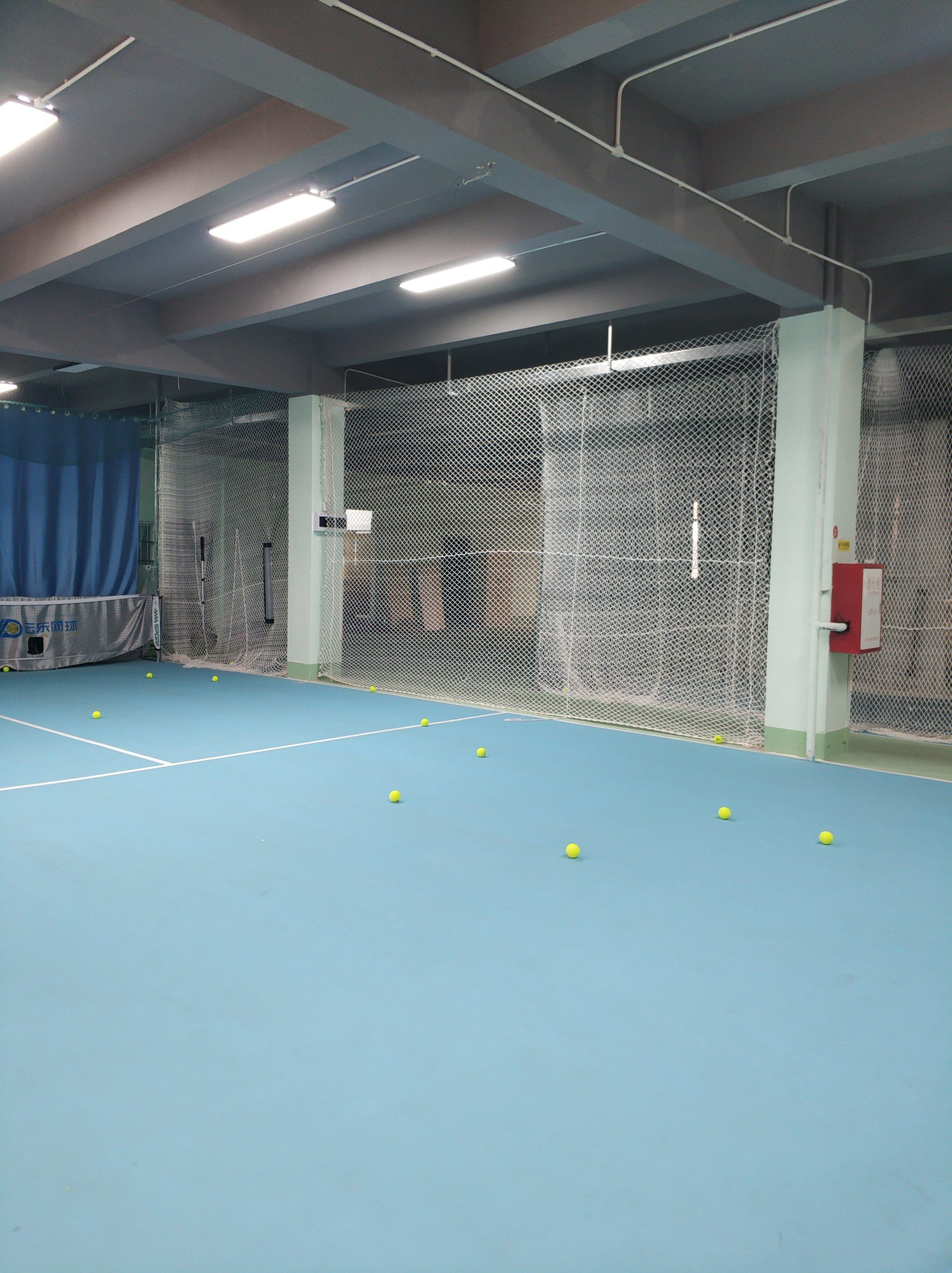 得到了社会 得到了社会